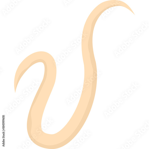 Roundworm Parasite
