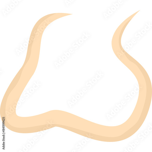 Roundworm Parasite