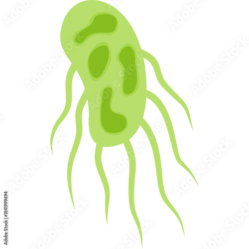 Salmonella Typhi Illustration