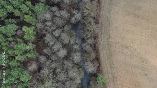 aerial view, drone photography, drone landscape, top view, forest, pine forest, birch trees, mixed forest, woodland, clearing, meadow, wetland, swamp, bog, marsh, pond, lake, reeds, river, stream, win