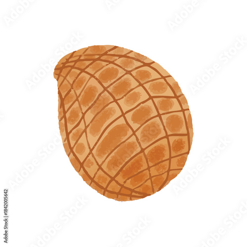 vector illustration of peanuts in crayon style icon sticker symbol etc