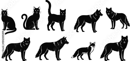 Set of Black Vector Silhouettes of Felines and Canids, Including Domestic Cats, Wolves, and a Fox, Isolated Wildlife and Pet Mammal Illustrations for Graphic Design