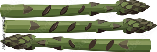 green leaf on green background