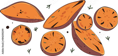 vector illustration of an orange fruit