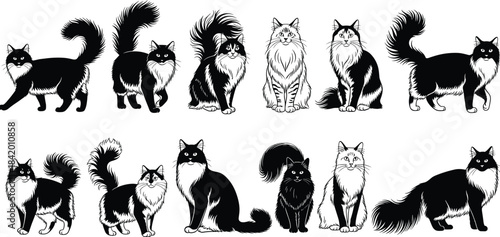 Black and White Detailed Outline Drawing of a Traditional Japanese Samurai Warrior in Full Armor with Katana Sword, Hand-Drawn Vector Illustration for History and Martial Arts Concepts