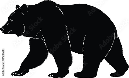 Black Silhouette of a Large North American Brown Bear Walking or Strolling, Isolated Vector Illustration of Wildlife Animal for Nature and Wilderness Concepts