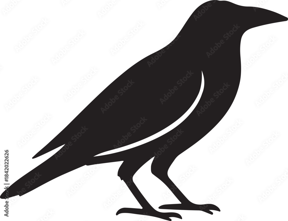 Fototapeta premium Bird Silhouettes Collection: Vector Graphics for Logo and Design