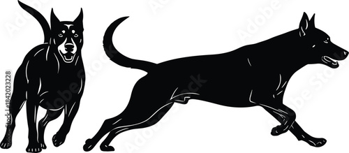 Black Silhouette Set of Ancient Greek and Roman Amphora, Urns, and Various Pottery Vessels with Decorative Patterns, Isolated Vector Illustration for History and Archaeology Concepts