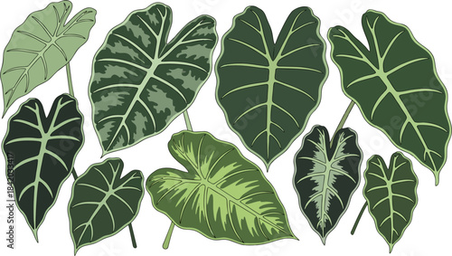 Green leaves arranged on a clean white background in a simple nature-inspired design