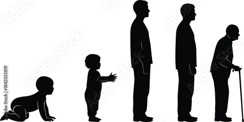 Vector Silhouette Set Illustrating the Human Life Cycle: Aging Process from Baby, Toddler, Adult, to Elderly Man with a Walking Cane.