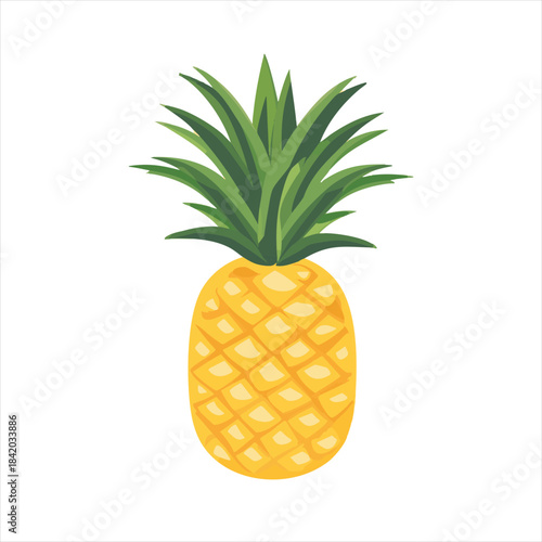 Ripe pineapple illustration
