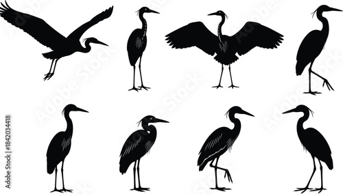 Great Blue Heron and Egret Bird Silhouettes Vector Collection: Eight Different Poses of Long-Legged Wading Birds, Flying and Standing, Isolated on White Background.