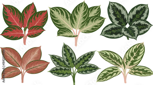 Green leaves collection in a simple natural vector design