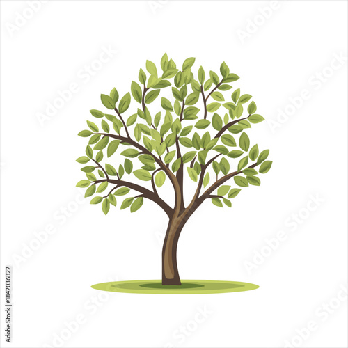 Vibrant illustration of a lush green tree