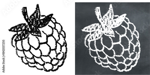 Chalk handdrawn raspberry vector for berry farms and dessert menus. Symbolizes fresh antioxidants, sweet jam, and rustic organic produce. Ideal for chalkboard illustrations.