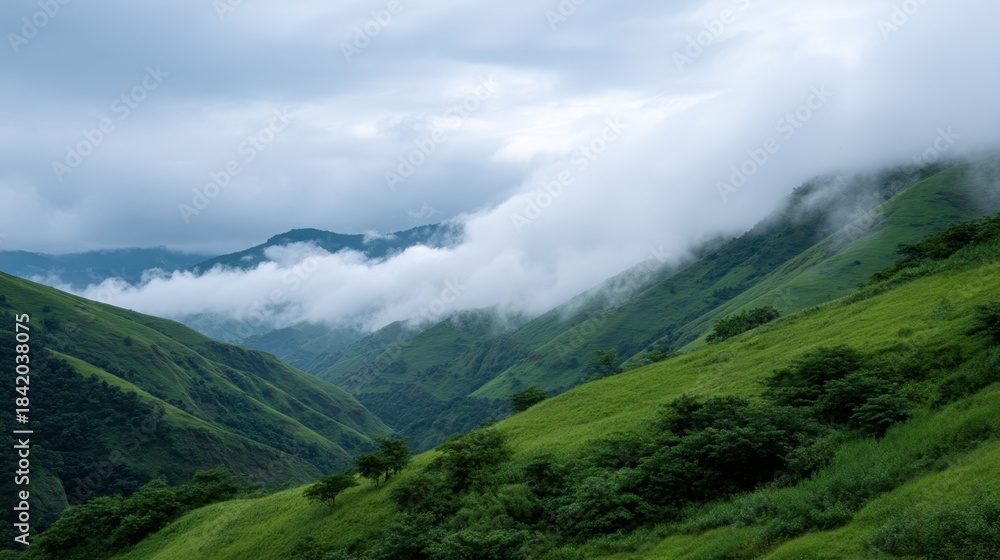 Fototapeta premium Misty Rolling Hills Under a Patchy Fog drifts Across Lush Green Landscape in Serene Environment