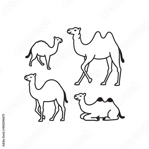 Desert Dromedary Camel Outline Icons Walking, Sitting, and Baby Calf.