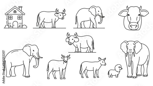 Farm Cattle Line Art Set – Cow and Calf Outline Vector Collection