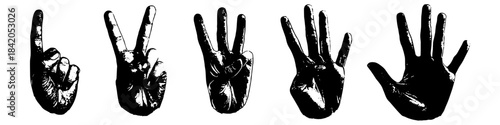 Set Black and White Silhouette hand count vector for educational tools. Symbolizes numbers, gestures, and clean graphic counting aids.