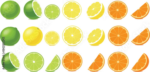Variety of fresh citrus fruits including limes lemons and oranges arranged in neat rows