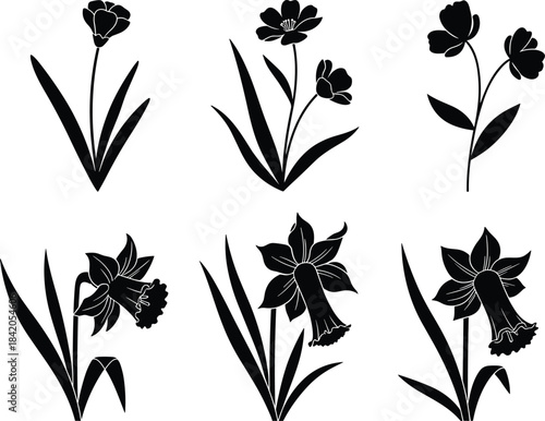 Flower silhouette vector set, daffodil shape clipart, black floral icons, botanical petal design, nature bloom illustration, minimal garden graphic