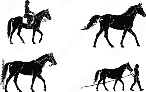 Horse and human silhouette vector set, equestrian activity clipart, black animal poses, riding and leading design, minimal horse handling illustration