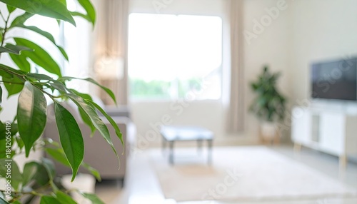 Sunny interior with green plant foreground, blurred background