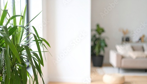 Bright, blurry room interior with a large leafy plant