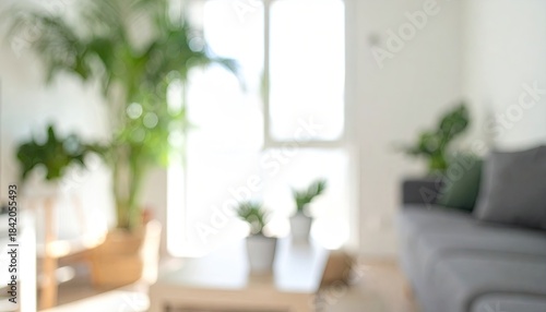 Blurry interior with plants, couch, and bright light