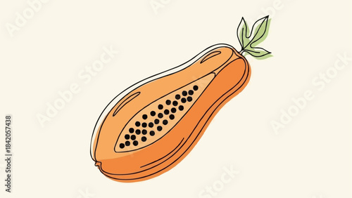 Hand drawn illustration of a ripe papaya fruit cut in half.