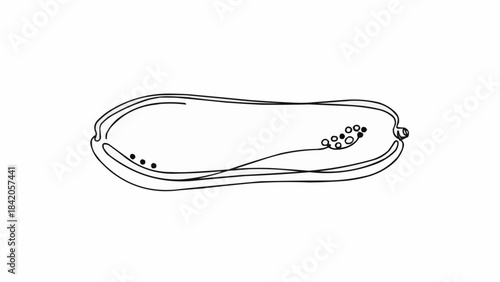 Minimalist Line Art Drawing of a Papaya Fruit.