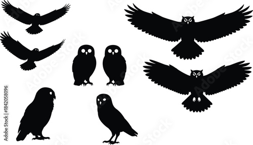 Silhouettes of owls in flight and perched poses showing wing shapes, body posture, and expressive eyes for design use