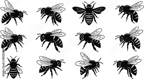 bee silhouettes, honey bee, wasp, flying insect, black vector icons, nature, pollination, wings, farm, garden, pest, illustration