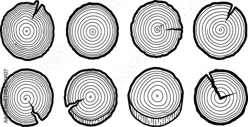 tree rings, wood slices, trunk cross section, annual growth rings, black line vector set, nature texture, forestry illustration