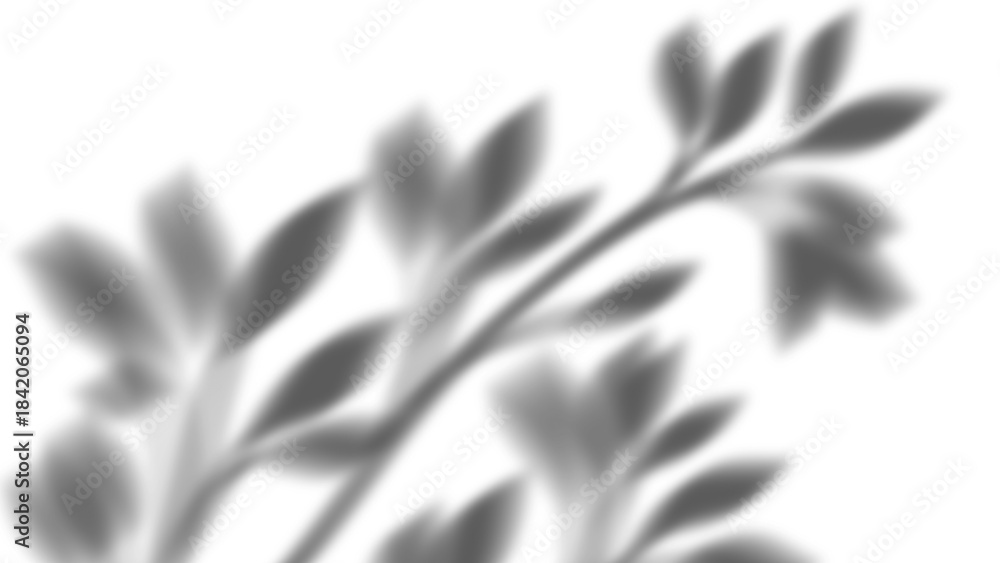 Naklejka premium Leaf shadow and light on wall grey background. Nature tropical leaves plant tree branch shade sunshine . Sunlight on white wall texture for background wallpaper, shadows overlay effect foliage mockup