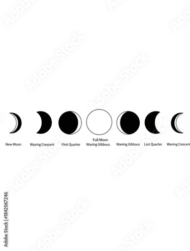 A clear illustration depicting the complete cycle of the moon's phases.