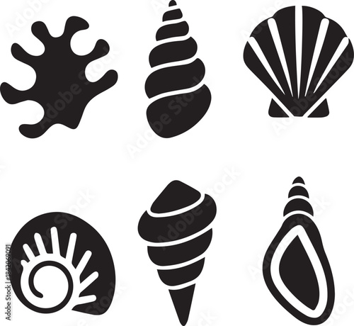 Seashell Silhouette Vector Set, Shell Icon