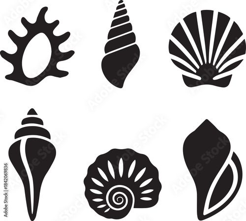 Seashell Silhouette Vector Set, Shell Icon