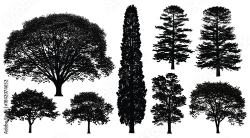 Silhouette illustration of nine distinct tree types with varied canopy shapes and trunk proportions – ideal for botanical references, landscape design, environmental visuals, and artistic nature compo