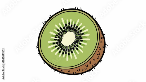 A vibrant illustration of a halved kiwi fruit showcasing its unique texture and seeds.