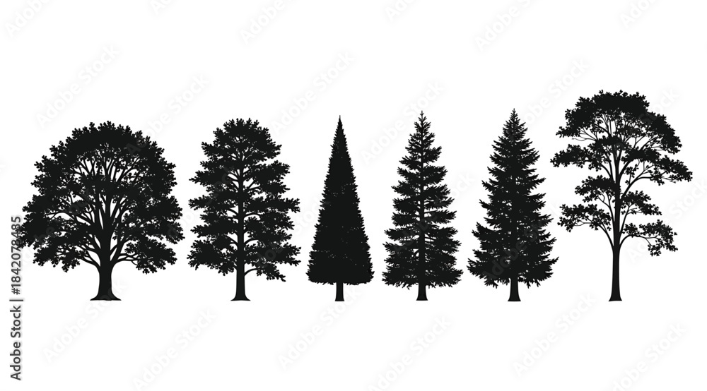 Fototapeta premium Set of Six Detailed Black Silhouettes Showcasing Diverse Tree Species—Including Broadleaf Deciduous and Various Conifers like Pines and Firs—Isolated on a Clean White Background for Nature or Forestry