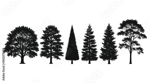 Set of Six Detailed Black Silhouettes Showcasing Diverse Tree Species—Including Broadleaf Deciduous and Various Conifers like Pines and Firs—Isolated on a Clean White Background for Nature or Forestry