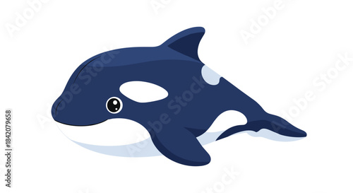 A cute and chubby baby orca, or killer whale, swimming with a happy expression, illustrated in a simple cartoon style.