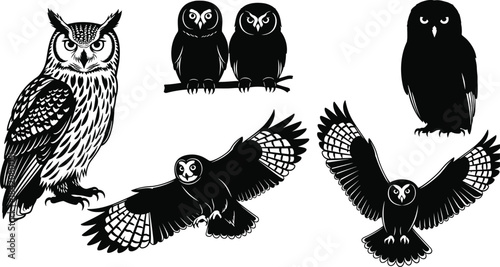 Collection of detailed owl silhouette vector illustrations featuring perched and flying poses, expressive nocturnal birds, elegant wildlife artwork, perfect for nature design projects