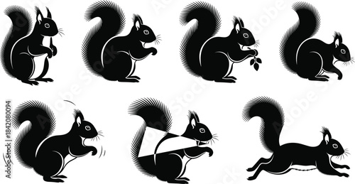 Collection of detailed squirrel silhouette vector illustrations showing playful poses, dynamic movements, forest wildlife behavior, perfect for nature designs, creative projects, educational artwork