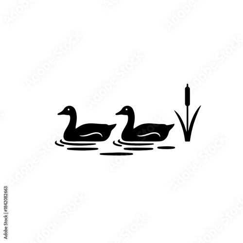 Wide Silhouette of Two Geese Gliding on Calm Marsh Water vector illustration
