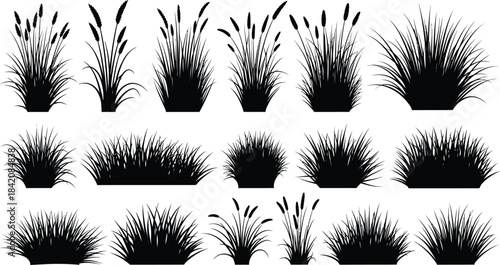 Conceptual representation of a vector file format, symbolizing digital media, design assets, and creative technology in modern computer graphics and software development.
