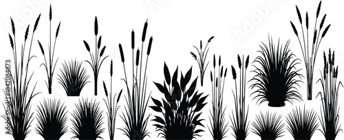 A conceptual digital graphic design illustrating a vector file, representing scalable resolution technology and high-quality creative resources for professional applications.