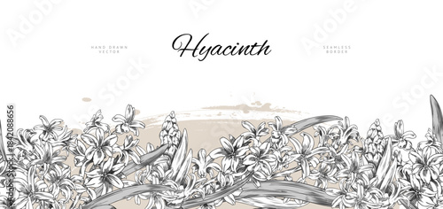 Hyacinth flowers engraved sketch vector seamless border design. Hand drawn spring blossom plant, blooming bouquet. Vintage ink style illustration on watercolor stain and lettering