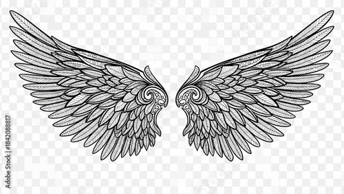 Realistic Eagle Wings Spread Wide Vector Graphic for Heraldry and Emblems